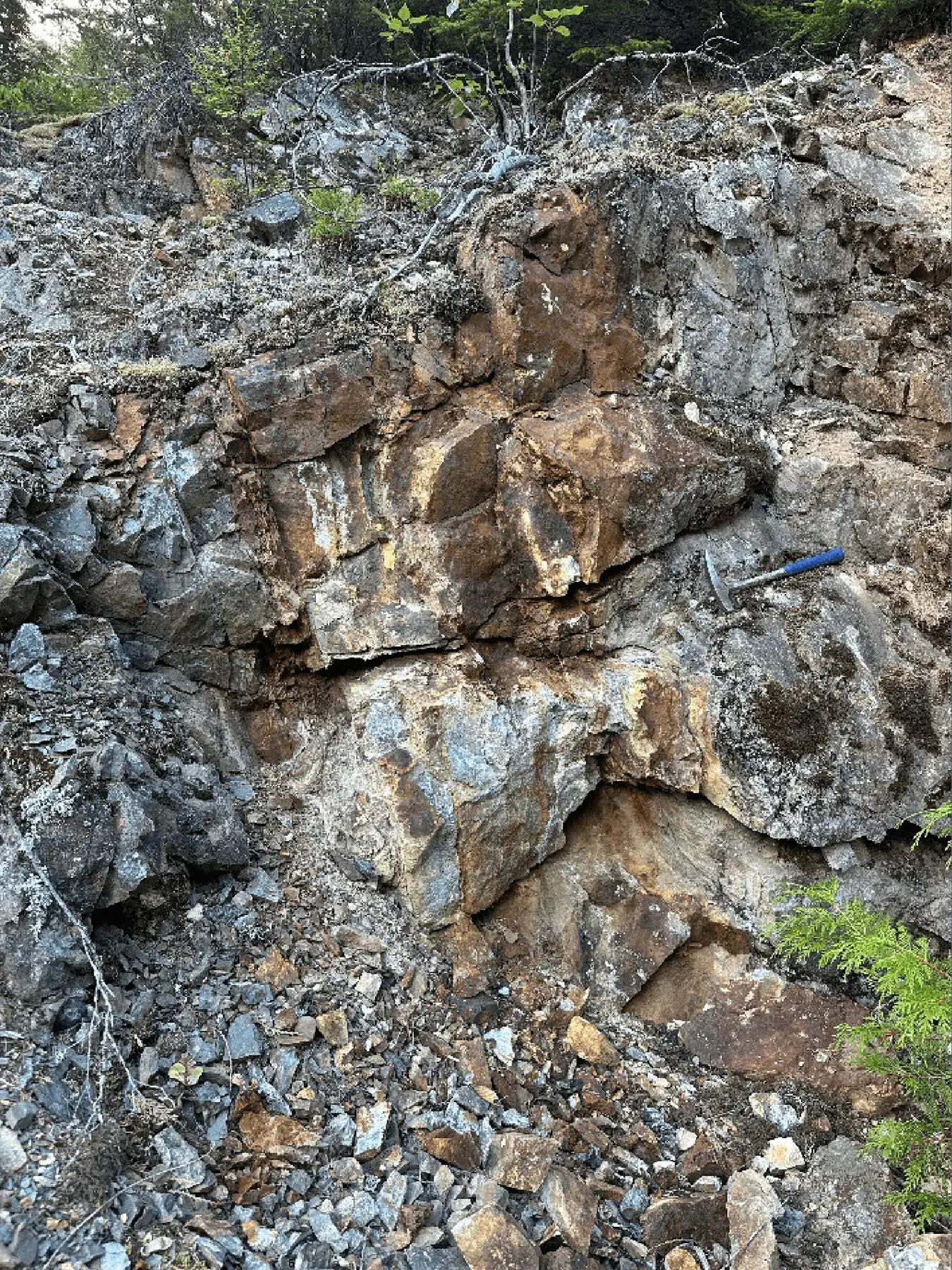 Mineralized rock outcrop