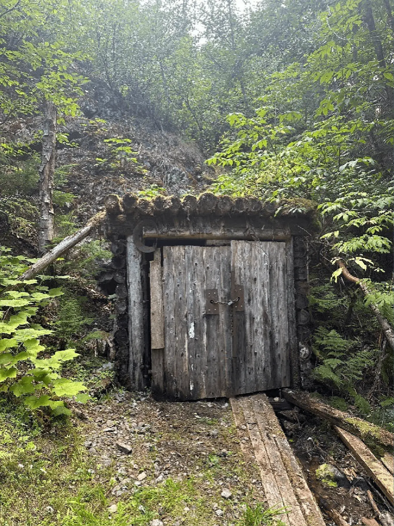 Historic adit portal at the Dardanelle Project